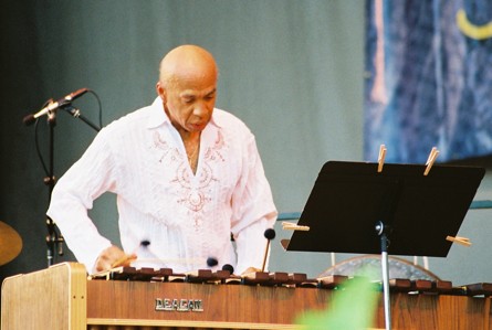 Playing the Xylophone